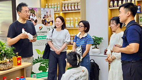 Cơ Quan Hợp Tác Quốc tế Hàn Quốc (KOICA) và Naturweg kiến tạo môi trường làm việc hòa nhập 2 519661734 122128532954809271 2324491871678563750 n